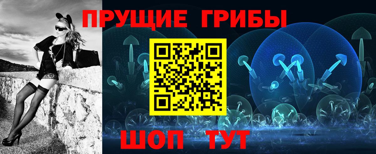 Галлюциногенные грибы GOLDEN TEACHER Гусь-Хрустальный
