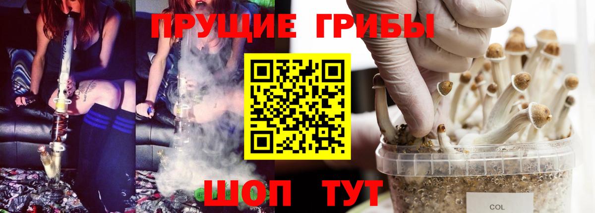 Гусь-Хрустальный  Псилоцибиновые грибы прущие грибы  Вход с VPN 