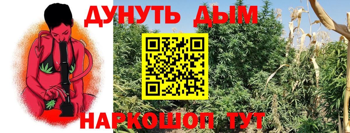 Марихуана AK-47  Вход с VPN  Марихуана Ganja  Гусь-Хрустальный  Шишки марихуана SATIVA & INDICA 